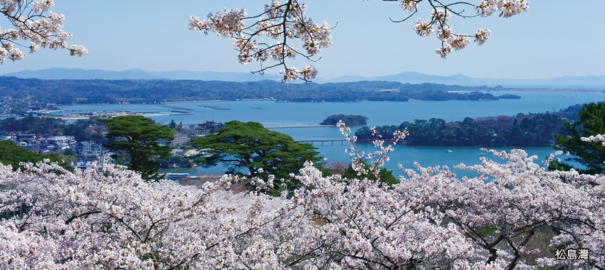 日本三大名景之一松島